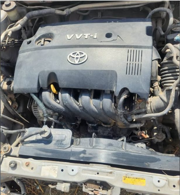Motor IZZ